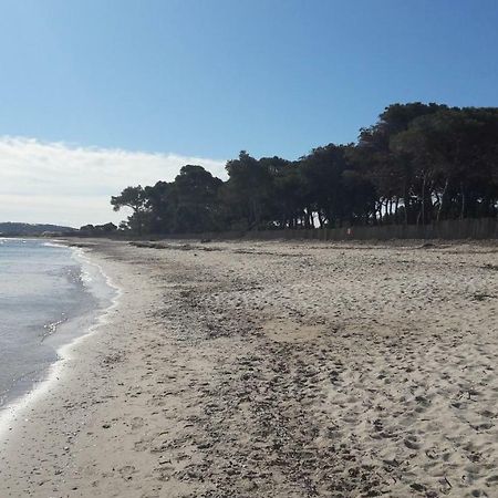 Villa Le Grilladou Hyères Kültér fotó